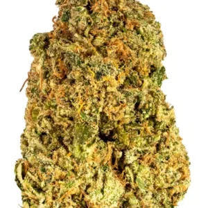 Stardawg Marijuana Strain